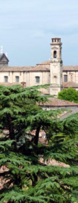 Castiglione delle Stiviere_Foto Scattolini